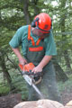 Click to see it big Ich mit Kettensäge, Impression aus dem Wald